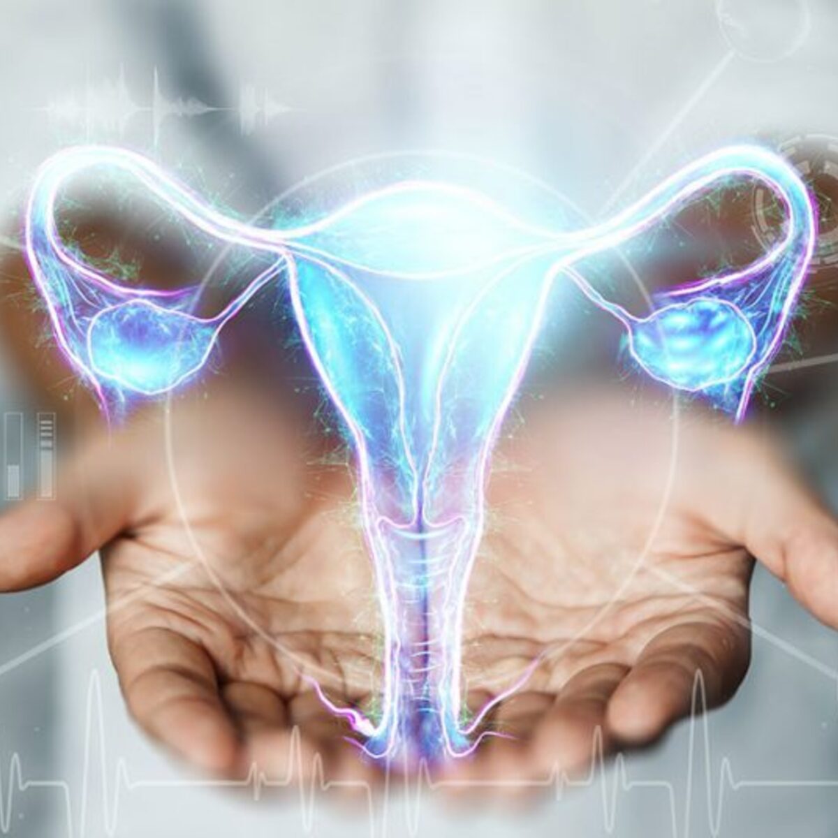 Ginecología — Dra. Valeria Rangel